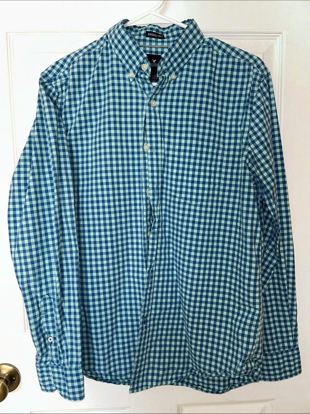 American Eagle Outfitters Teal and Blue Gingham Button-Down Shirt